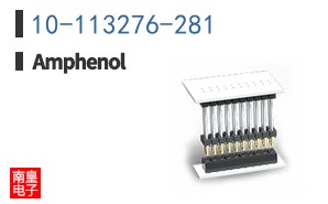 10-113276-281