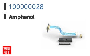 100000028