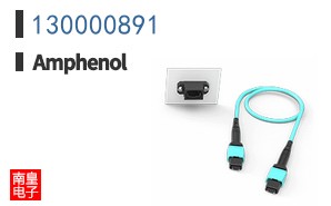 130000891