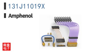 131J11019X