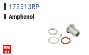 172313RP