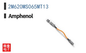2M620MS065MT13