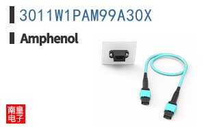 3011W1PAM99A30X