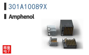 301A10089X