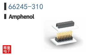 66245-310