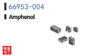 66953-004
