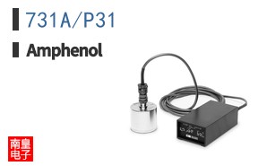 731A/P31