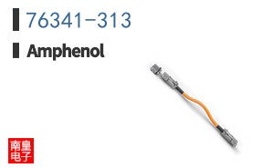 76341-313