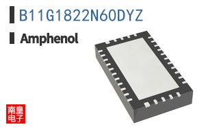 B11G1822N60DYZ