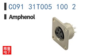 C091 31T005 100 2