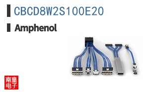 CBCD8W2S100E20