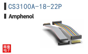 CS3100A-18-22P
