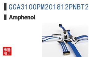 GCA3100PM201812PNBT2