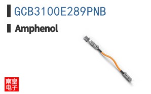 GCB3100E289PNB