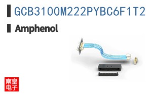 GCB3100M222PYBC6F1T2