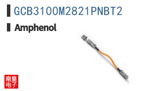 GCB3100M2821PNBT2