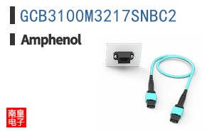 GCB3100M3217SNBC2