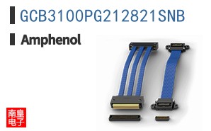 GCB3100PG212821SNB