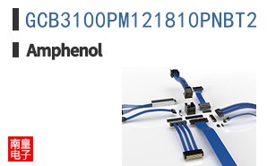 GCB3100PM121810PNBT2