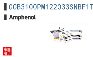 GCB3100PM122033SNBF1T2