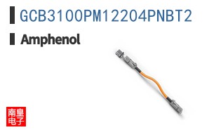 GCB3100PM12204PNBT2