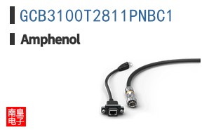 GCB3100T2811PNBC1