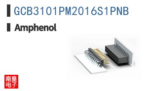 GCB3101PM2016S1PNB
