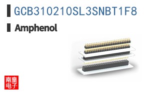 GCB310210SL3SNBT1F8