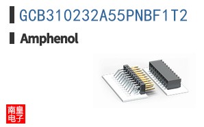 GCB310232A55PNBF1T2