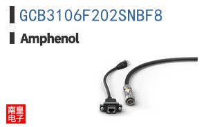 GCB3106F202SNBF8