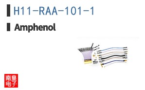 H11-RAA-101-1