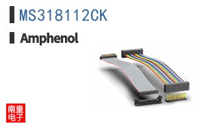 MS318112CK