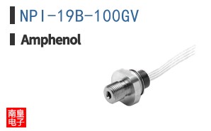 NPI-19B-100GV