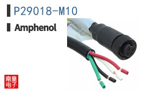 P29018-M10
