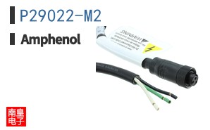 P29022-M2