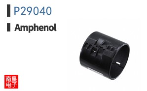 P29040
