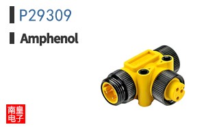 P29309