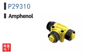 P29310