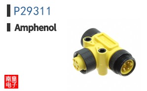 P29311